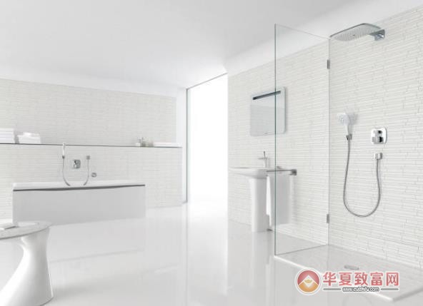 汉斯格雅加盟